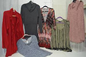 lot 265 image: Womens Clothes  Size 3X - Tops and Sweaters Plus Calvin Klein Dress still with Tags