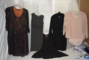 lot 219 image: Womens Clothes Jennifer Lopez Sweater, Dresses Size L, and Calvin Klein Sweater Dress