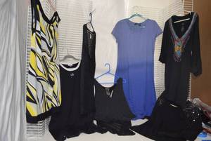 lot 220 image: Womens Clothes Calvin Klein, Chicos, and Tops and Dress as shown