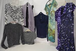 lot 326 image: Womens Clothes size M Tops and Sweaters Blue, purple, black, and Green Dress