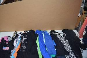 lot 374 image: Womens Clothes Generous Amount of Sleeveless Tops and TankTops (Some Kid Sizes)