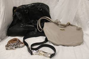 lot 420 image: Puses and Belts Chicos Leather Belt SM, BCBG Purse, Tahari Leather Purse