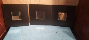 lot 41 image: 3 decorative hanging mirrors