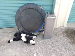 lot 212 image: Mini trampoline, stuffed horse and Pac n play playpen