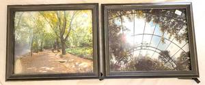 lot 588 image: 2 Nature Photos