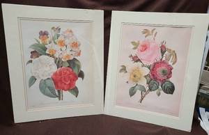 lot 745 image: 2 Matted P. J. Redoute Prints