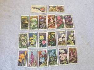 lot 108 image: Selection of 20 cigarcigarette insert cards