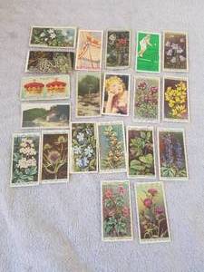 lot 120 image: Selection of 20 cigarcigarette insert cards