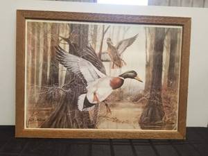 lot 183 image: Framed artworkprint - Mallards in Flight by R.J. McDonald - 22 by 31