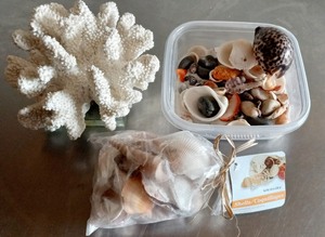 lot 144 image: Coral Statue, Seashell & Sand Decor