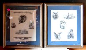 lot 215 image: BEAUTIFUL FRAMED & MATTED THE UNITED STATES OF AMERICA THEMED PRINTS - UNDER GLASS