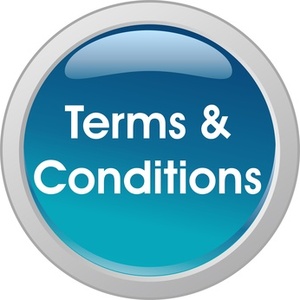 lot 6 image: TERMS & CONDITIONS