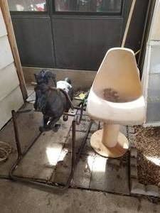 lot 346 image: Rockerbounce horse and homemade stool (F)