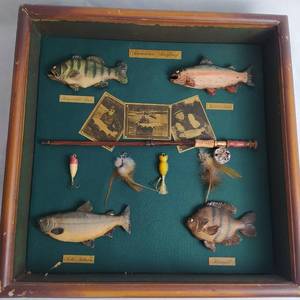 lot 217 image: VINTAGE AMERICAN ANGLING SHADOW BOX FISHING AND TACKLE