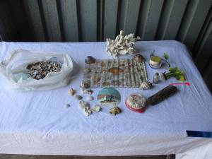 lot 88 image: Mixed Lot Of Coral, Sea Shels And....