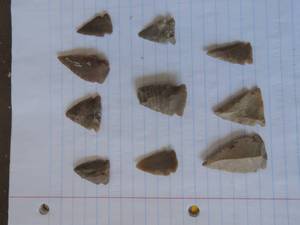 lot 124 image: 10 arrow heads
