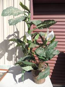 lot 162 image: 2 faux house plants 30 tall Peace plant and 44 tall definbaccia