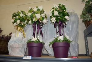 lot 52 image: Set of 6 Topiaries (Purple and Gold)