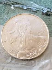 lot 244 image: American Eagle Silver dollar - uncirculated condition - 2005