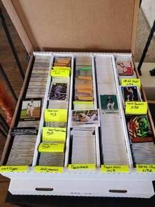 lot 321 image: Selection of baseball cards 5000