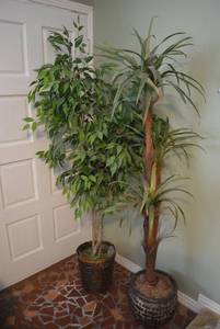 lot 97 image: 6 Ft. Tall Artificial Plants