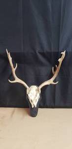 lot 79 image: European Mount Fallow Deer