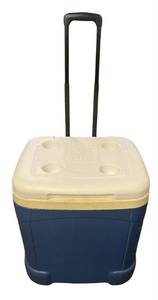lot 118 image: Igloo Ice Cube