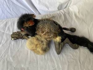 lot 11 image: Gryphon Puppet