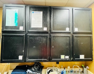 lot 29 image: 8 Cubbies  2 Tier Storage Cabinets 8 x 6