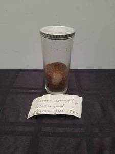 lot 113 image: Vintage jar of Havana Round tip tobacco seeds from 1922