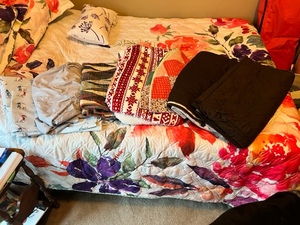 lot 300 image: Assortment of Blankets