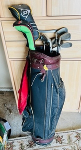 lot 351 image: Golf Clubs & Golf Club Bag Storage
