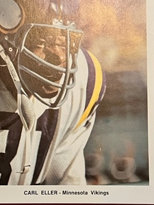 lot 386 image: 10 Minnesota Vikings 9x7 Photos