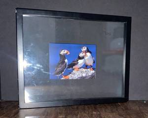 lot 182 image: Portrait of a Bearded Man 10.5x12.5 Atlantic Puffin Autobahn 14.75x12 Green Snake 22x17.75