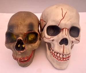 lot 9 image: Plastic Skulls (2)