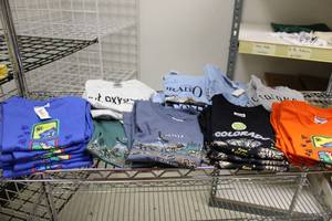 lot 227 image: NEW Kids T-Shirts Youth XS 2-4 years - Generous Assortment of Colorado Designs