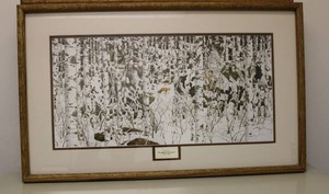 lot 85 image: Framed Print by Bev Doolittle Woodland Encounter 32W x 19H