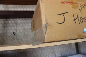 lot 808 image: Plastic J Hook 24 Display Trays - 1 Box