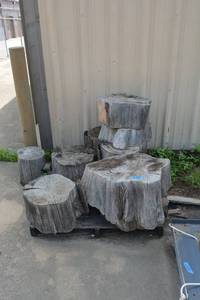 lot 889 image: Tree Stump Wood