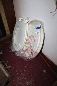 lot 15 image: Two toilet seats