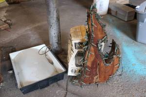lot 134 image: Bug light in box, small shop light, carved Coyote light up wood piece