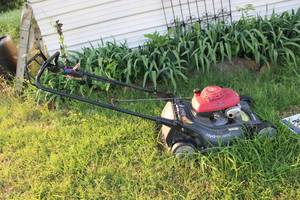 lot 283 image: Honda 6.5 HP mower