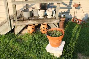 lot 305 image: Flower pots and planters