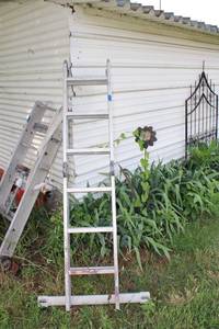 lot 286 image: Ladder