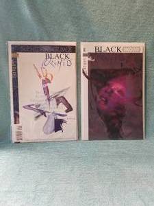 lot 167 image: Black Orchid DC-Vertigo comic books- The Childrens Crusade #1 & Black Orchid #1
