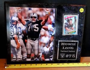 lot 282 image: CUSTOM 12 X 15 HOWIE LONG - OAKLAND RAIDERS WALL DISPLAY $$