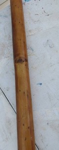 lot 67 image: Rainbow rain stick 31