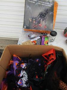 lot 137 image: Autumn and Halloween lot