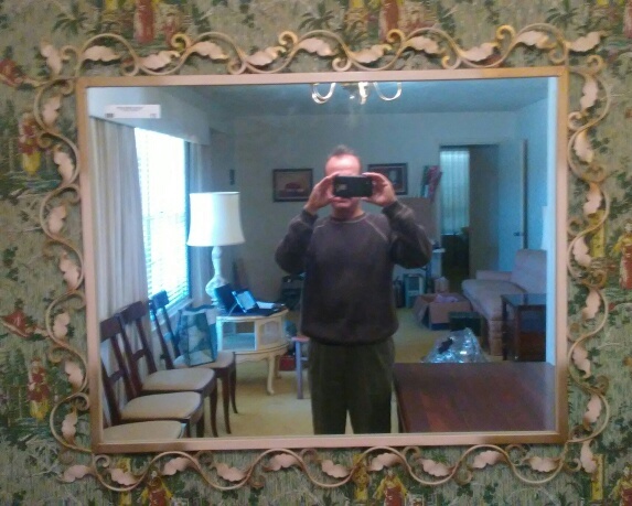 lot 15 image: Metal Vine Mirror