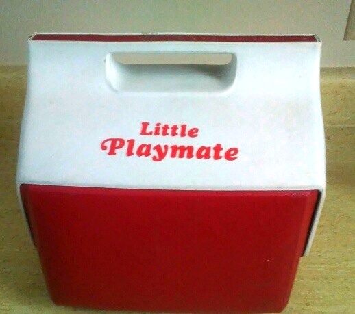 lot 131 image: Igloo Ice Chest